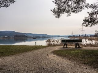 Der Klingnauer Stausee: Eldorado für Vogelliebhaber