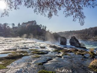 Rheinfall Schaffhausen: Wandern auf der Via Rhenana
