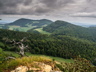 Wege auf die Wasserflue – der Hausberg von Aarau