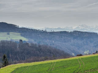 Ruine Schenkenberg