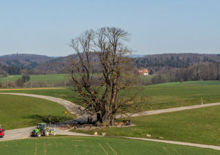 Von Brugg über den Linner Berg zur Staffelegg
