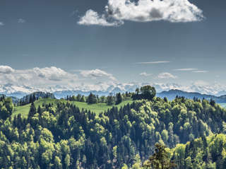 Aufs Schnebelhorn und Hörnli – Rundwanderung im Zürcher Oberland
