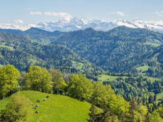 Hörnli Aussicht
