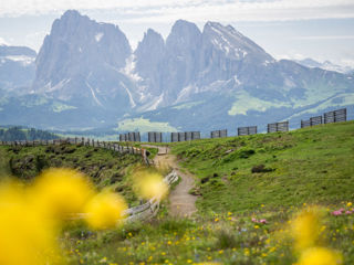 Puflatsch-Umrundung auf der Seiser Alm