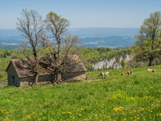 Wandern auf der Wasserfallen via Passwang und Vogelberg