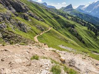 Friedrich August Weg