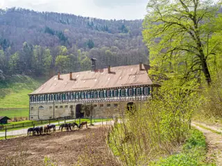 Kartause Güterstein