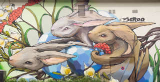 Blaustrümpflerweg Hasenbergsteige 