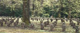 Blaustrümpflerweg Waldfriedhof
