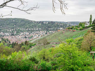 Blaustrümpflerweg Schimmelhüttenplatz