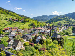 Karlsruher Grat Ottenhöfen