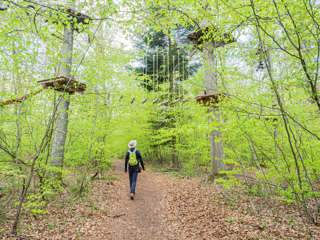 Waldseilgarten Herrenberg