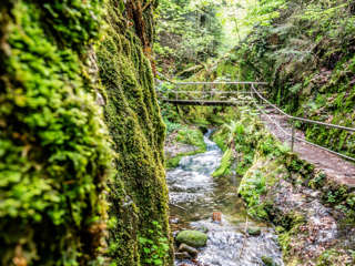 Karlsruher Grat  Gottschlägtal