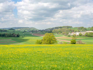 Hochgehträumt Feldberg