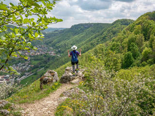 Hochgehträumt  Albtrauf