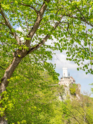 Ruine Alt Lichtenstein