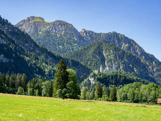 Säuling mit Schloss Neuschwanstein
