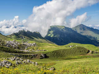 Musenalp und Buochserhorn