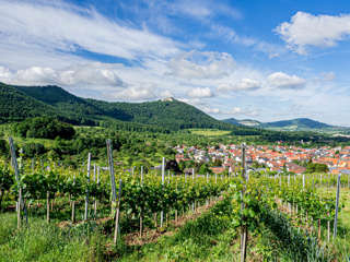 Hochgefestigt Weinberge