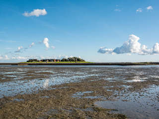 Wattwanderung Hallig Oland