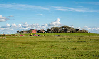 Hallig Oland