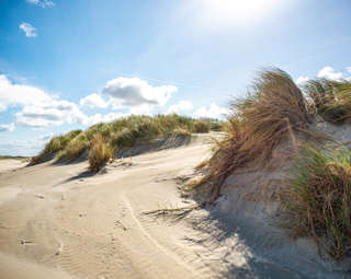 Dünen Norderney