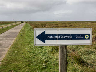 Salzwiesenlehrpfad zur Hamburger Hallig