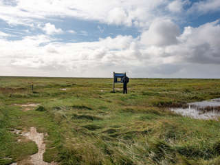 Salzwiesenlehrpfad Hamburger Hallig