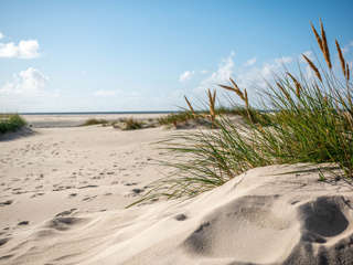 Amrum Dünen