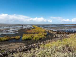 Hallig Südfall Fuhlehörn