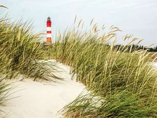 Leuchtturm Amrum