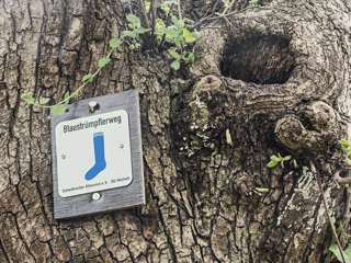 Blaustrümpflerweg