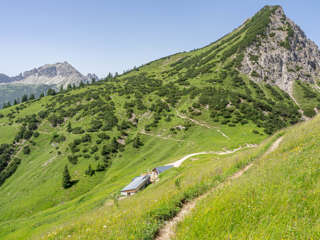 Gräner Ödenalpe