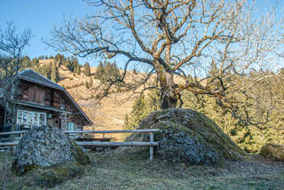 Rägeflüeli Alp