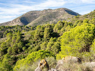 Mirador de la Cañada del Lobo - Monte Calamorro