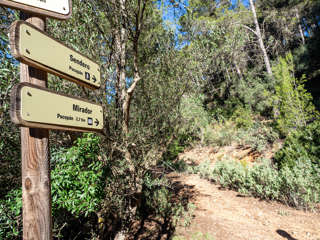 Sendero Pocopan Montes de Málaga