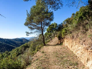 Montes de Málaga Sendero Pocopan