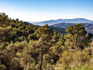 Montes de Málaga