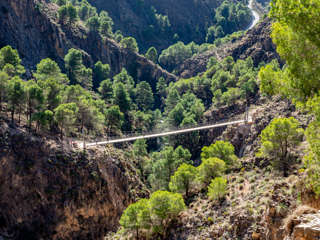 El Saltillo Hängebrücke