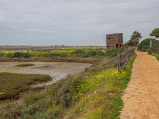 Birdwatching Ria Formosa Caminho do Ludo