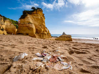 Rota Vicentina Lagos Luz