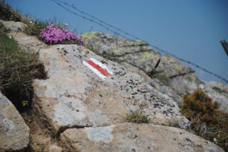 Fürstein Wegmarkierung