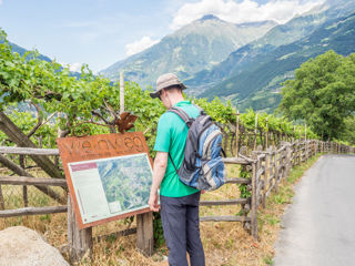 Weinweg Dorf Tirol