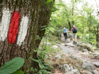 Greina Hochebene Tag 1 Aufstieg Quarneihütte