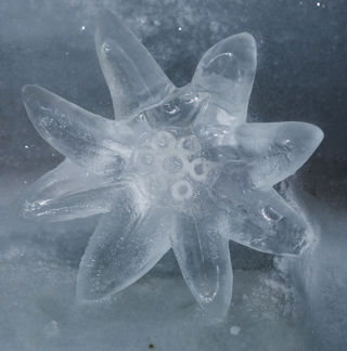 Eispalast Jungfraujoch