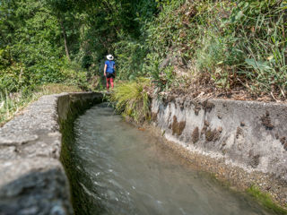 Algunder Waalweg