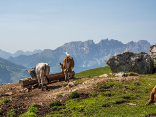 Touristensteig Schlern Wanderung