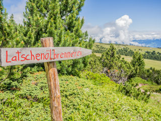Latschen- und Zirbelkieferöl Barbianer Alm