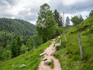 Geniesserpfad Menzenschwander Geissenpfad