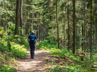 Geniesserpfad Schluchseer Jägersteig